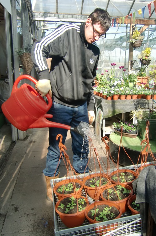 working in the greenhouse